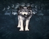 wolf moon chair