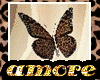 leopard hair butterfly 