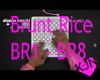 [KJN] Brunce Rice