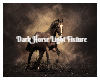 Dark Horse Light Fixture