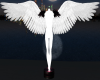 My angel Sataue