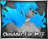 D~Shoulder Fur: Blue