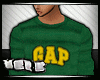 V/ GAP logo LS Shirt