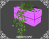[SC] Wall Plant ~ Lilac