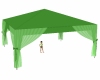 Light Green Canopy Tent