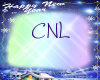 [CNL]Happy New year