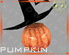 Pumpkin 4a Ⓚ