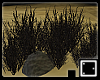 ♠ Wasteland Vegetation