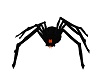 *Ney*Halloween'21 Spider