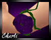 {CS}L Purple Rose