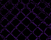  purple {F}