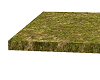 Platform rock with grass