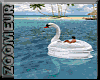 Swan For Beach
