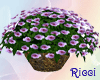 ~R~ plum flower bouquet