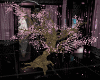 Jenny Blossom Tree