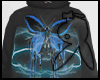Goliath Butterfly