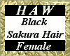 Black Sakura Hair - F
