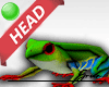 🐸 Head Frog F