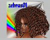 afro hair