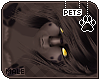 [Pets] Apollo | hair v4