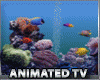 Fish Tank Television