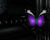 (SE)B.Moon Butterfly