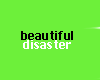 beautifull disaster