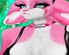 (DF) D.I.C. Bundle!!!