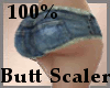 Butt Scaler 100%