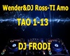 Wender&DJ Ross-TI Amo