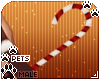 [Pets] Ginga | cane v1