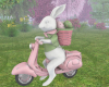 E* Rabbit on the scooter