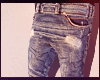 [L] New Denim Jeans V2