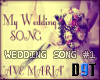 Wedding Song 1 Ave Maria