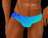 (a) rainbow swim trunks