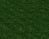 Grass Rug