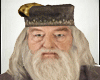 Dumbledore -Harry Potter