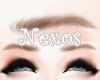 |N| Brown Eyebrows
