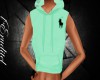 Arctic Polo Hoodie