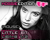 LittleBit|House