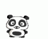 [iP] Hello Panda *-*
