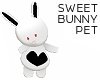 Sweet Bunny Pet
