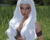 White Belle