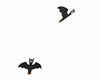 Cute Flying Bats