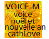voice (M) noel et.......