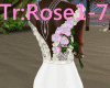 Roses In Hand 7 Poses
