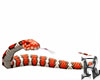 Snake Coralillo Animated