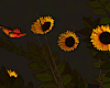 Sunflowers w Butterflies