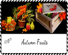 2 Autumn Fruits Fillers