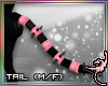 (IR)LynX Furry:Tail2 M/F